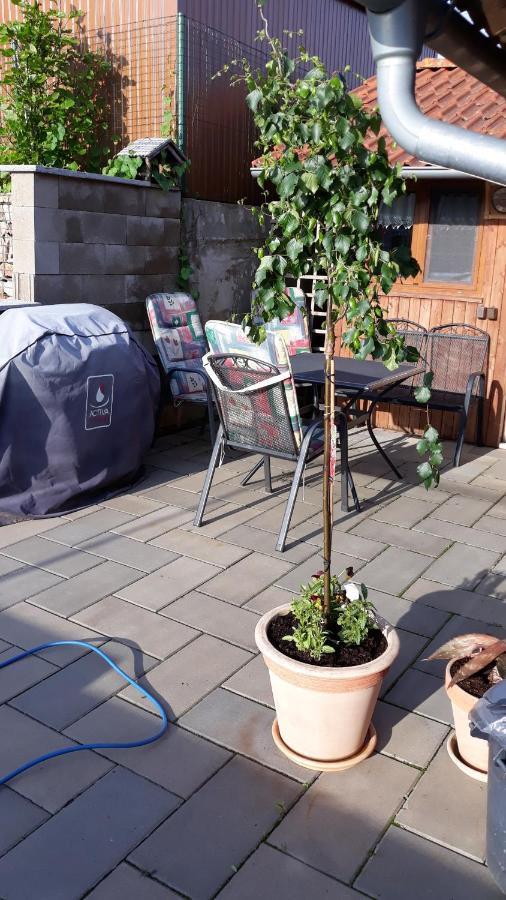 Apartmán u potoka Sadov Exterior foto